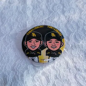 와카타카 가챠 캔뱃지 야나기마치 타츠 타니가와라 켄타