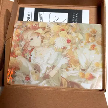 프로세카 노블 아트 컬렉션 vol.66 모치즈키 호나미 순수 브라