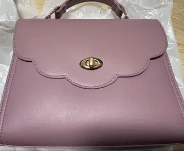 WEGO 스캘럽 통증 숄더