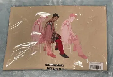 니시가키 쇼 NYLON JAPAN 토트백