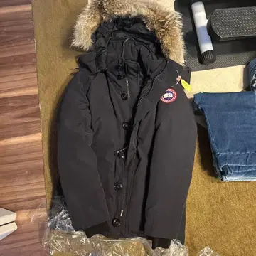 오르포드 에디피스 별주