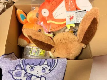 반짝반짝 박스 2026 포켓몬 센터 온라인 잉어킹 수컷