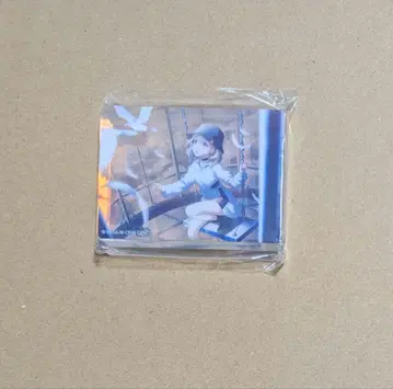 프로세카 아즈사와 코하네 48 노블 아트 비바스