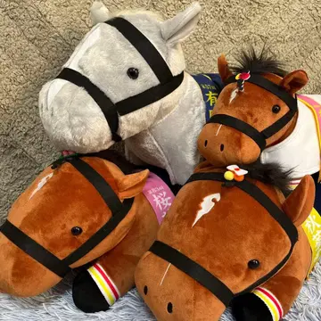 서러브레드 컬렉션 리버티 아일랜드 3종 & 골드십