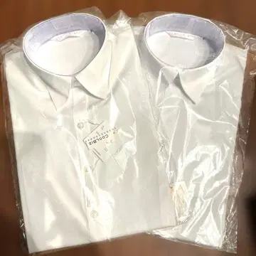 취업 셔츠 여성용 스키퍼 셔츠 9호 2개 세트