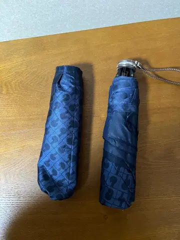 접이식 우산 게라르디니 GHERARDINI 네이비 신사 우산 남성용 우산