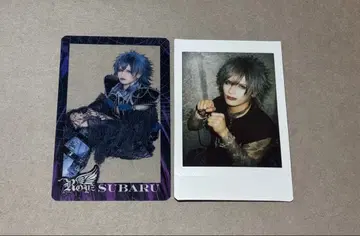 Royz 스바루 클리어 카드 폴라로이드