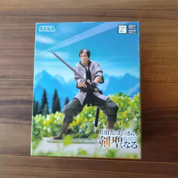 피규어 시골 아저씨, 검 성이 되다 베릴 가데난트