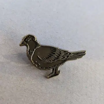 토드 프랜시스 비둘기 핀즈