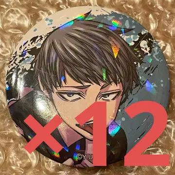 토겐안키 마즐 홀로그램 캔뱃지 vol.5 메이드 야오로시 이카리 12개