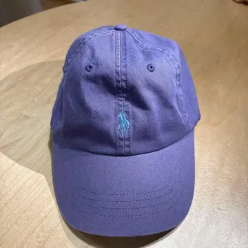 POLO 보라색 자수 캡