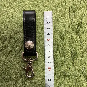 WILDSWANS 와일드 스완스 스냅 후크 포함 키링