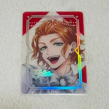 트위스테 플라티나 자켓 케이트 클리어 카드