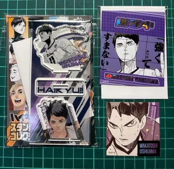 하이큐 우시지마 와카토시