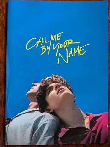 Call Me by Your Name 팜플렛 일반 버전