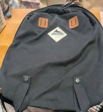 그레고리 USA 구 택 백팩