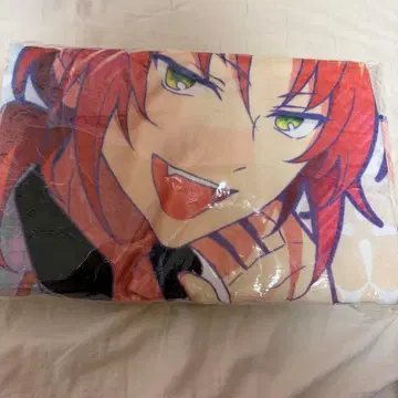 스타포니 빅 타월 레오