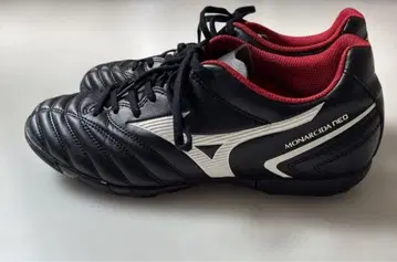 미즈노 모나시다 네오 트레이닝 슈즈