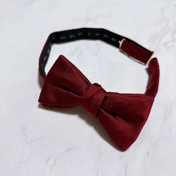 새상품급 GIRAFF 동일 컬러 페이즐리 보르도 나비 넥타이