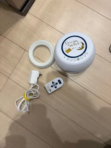 Dream Switch 드림 스위치 디즈니 SD 카드 포함