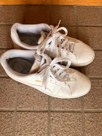 PUMA 화이트 스니커즈 골드 로고