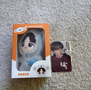 funny DDAYO treasure 준규 트레이딩 카드 포함