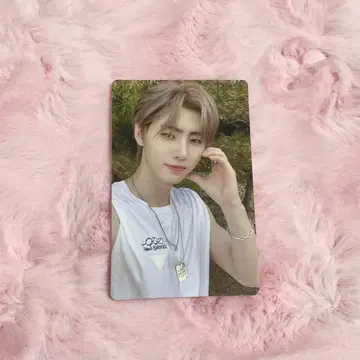 ENHYPEN manifesto 성훈 트레이딩 카드