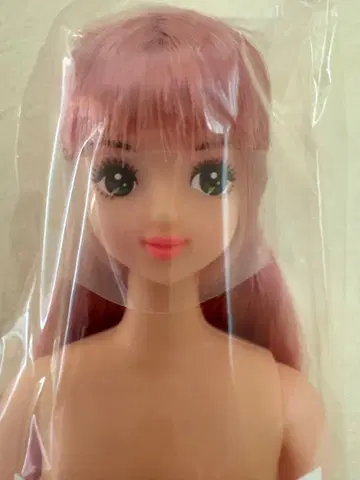 즐거운 인형 제니 프렌드 H