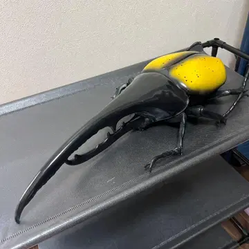 헤라클레스 장수풍뎅이 피규어 블랙과 옐로우 컬러