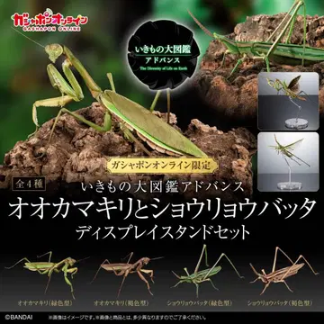 온라인판 생물대도감 어드밴스 큰사마귀와 풀무치 전 4종