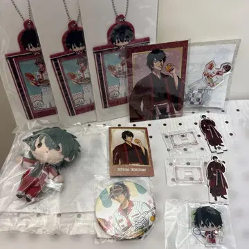 신 테니스의 왕자님 에치젠 료가 럭셔리 11종 세트