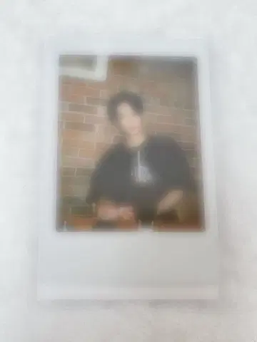 아키자와 켄타로 폴라로이드