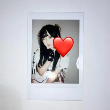 큐루시테 신기루 아뮤 폴라로이드 9