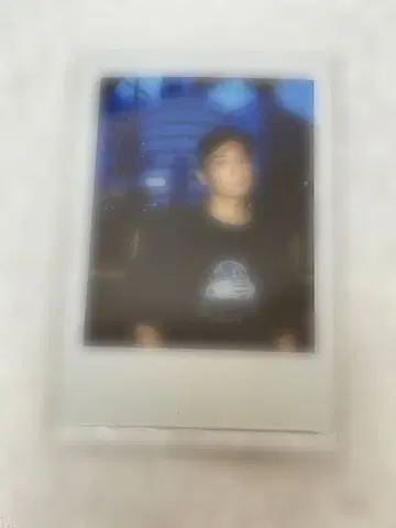 아키자와 켄타로 폴라로이드