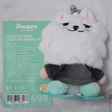 TXT 투바 수빈 용몽 뿔바투 봉제 인형 키링