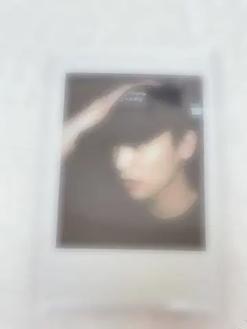 아키자와 켄타로 폴라로이드