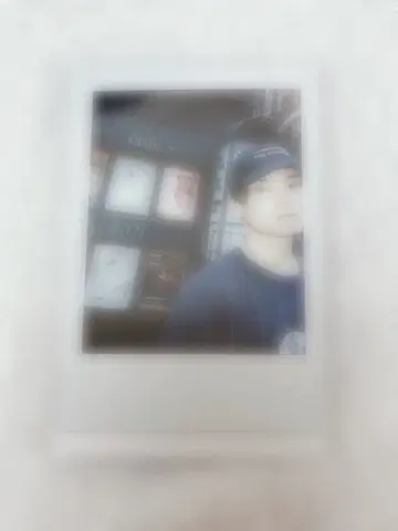 아키자와 켄타로 폴라로이드