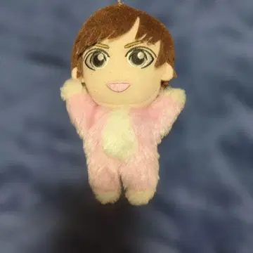 NEWS 카토 시게아키 치비 누이