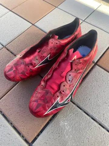 미즈노 알파 2 PRO 27cm