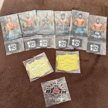 RIZIN 제일복권 아크릴 스탠드 6개 세트 외