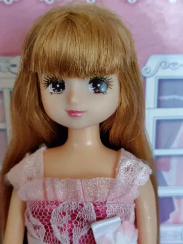 리카짱 인형 아이돌 메이크 리카짱