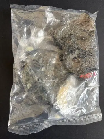 고질라 명감 킹콩 대 고질라 미개봉