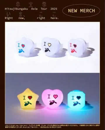 양문학 히츠지짱 지금, 여기 랜덤 링 라이트 무도관 한정판 3개 세트