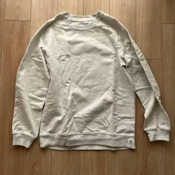 현 챔피언 미들웨이트 테리 스탠다드