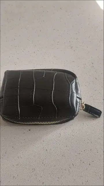 블랙 크로커다일 패턴 파우치