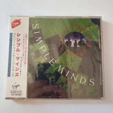 심플 마인즈 스트릿 파이팅 맨스