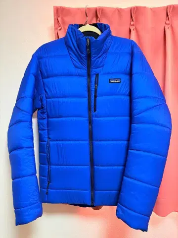 patagonia 다운 자켓 M 사이즈 파랑