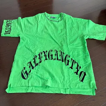 GALFY 그린 T셔츠 대형견