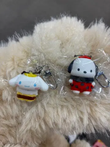 꼬물꼬물 벌레 씨 벌레 씨 시나몬 포차코