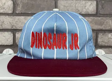 Dinosaur Jr. 빈티지 스트라이프 캡